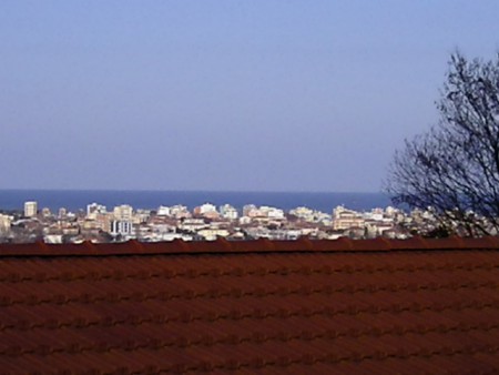 Particolare ingrandito