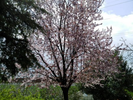 A mare dell'autostrada