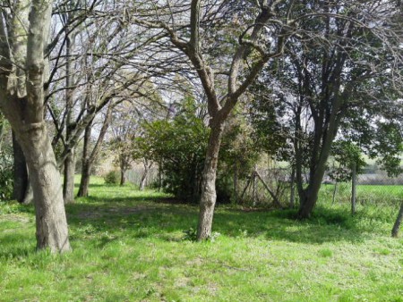 Guardando verso l'aeroporto