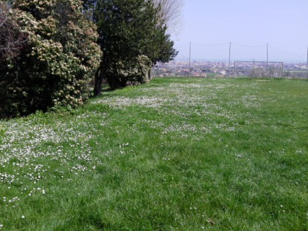 Il Campo Sportivo
